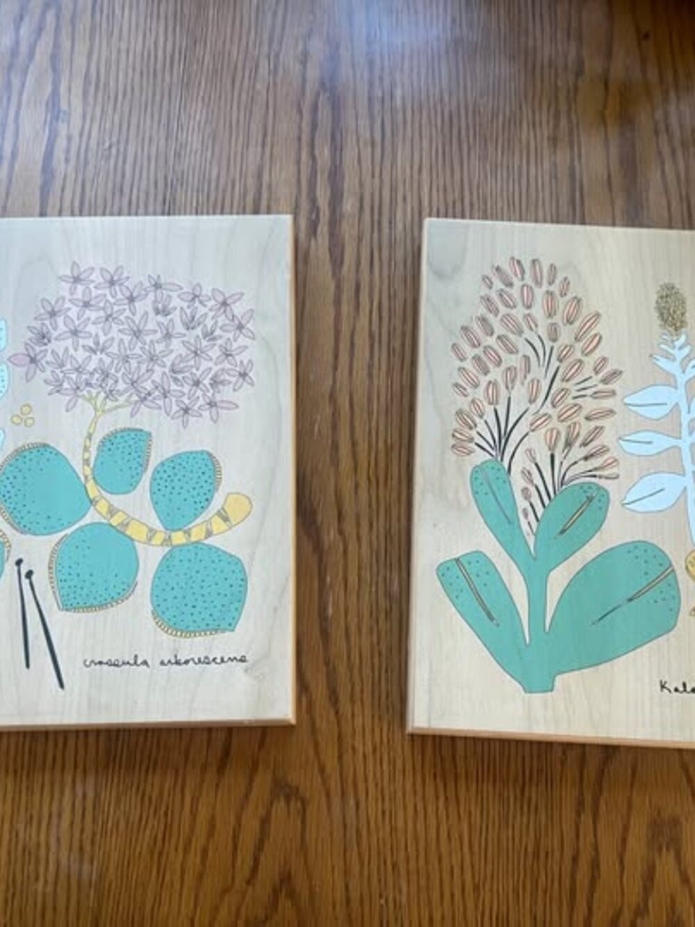 🎨 Leah Duncan Succulent Art Prints on Wood – 11x14 – Target Collaboration – Set